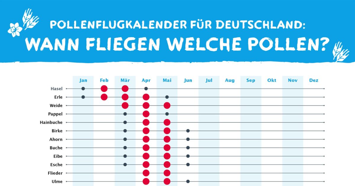 Allergie Kalender: Pollenflug für Deutschland